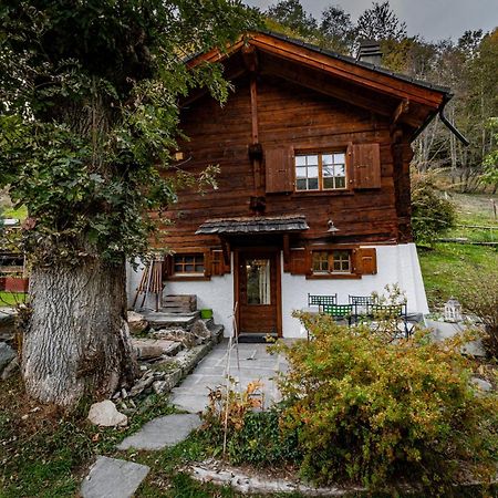 Chalet Les Rindes Nendaz Kültér fotó