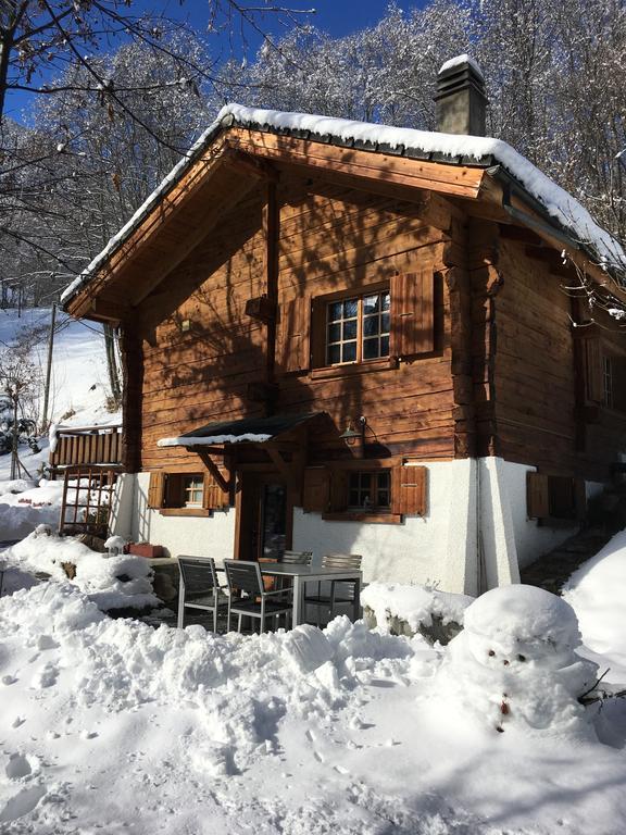 Chalet Les Rindes Nendaz Kültér fotó