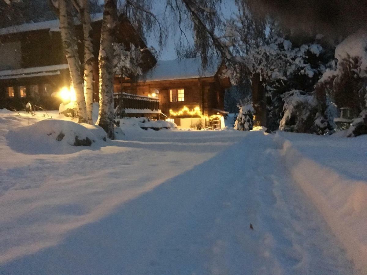 Chalet Les Rindes Nendaz Kültér fotó