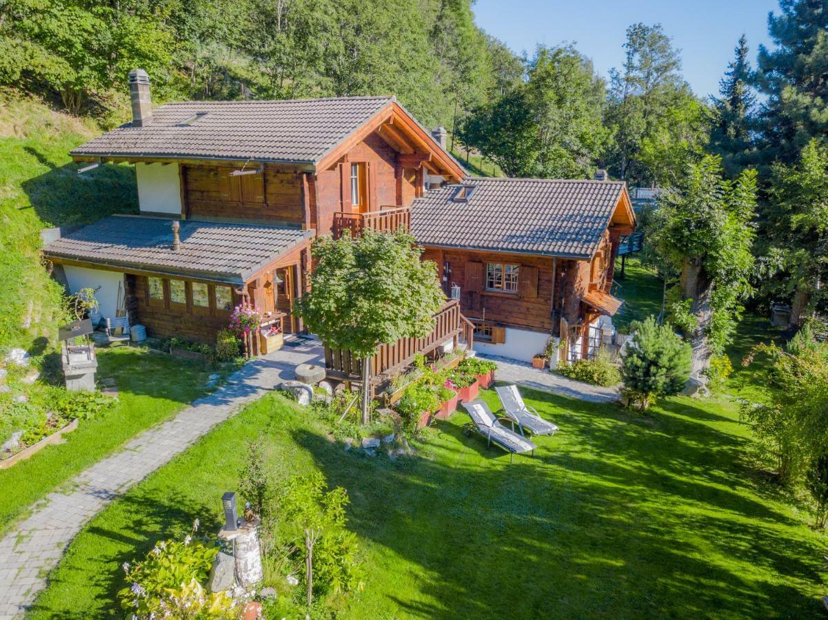 Chalet Les Rindes Nendaz Kültér fotó